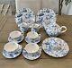 18 Pc Portmeirion Botanic Blue Earthenware Plates Teacups Teapot Creamer England