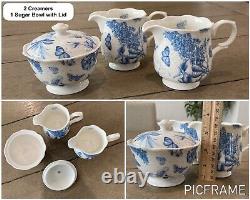 18 Pc PORTMEIRION Botanic Blue Earthenware Plates Teacups Teapot Creamer ENGLAND