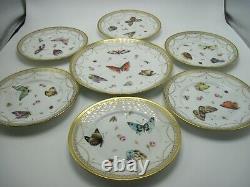 20 Piece Artist Signed Rosenthal Hand Painted Cake Tea Set Butterfly Gilt Trim