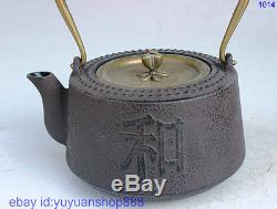 9 Classic China Gentle Flower Iron Gilt Teapot Kettle Wine Tea Pot Flagon Statue