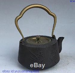 9 Classic China Gentle Flower Iron Gilt Teapot Kettle Wine Tea Pot Flagon Statue