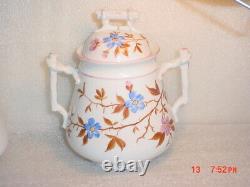 Antique B. S. M. Bruder Schwalb Teapot Set Sugar Creamer Tray Austria Bohemia 1850