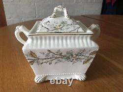 Antique Imperial Warranted ironstone china teapot sugar creamer 2 square plates