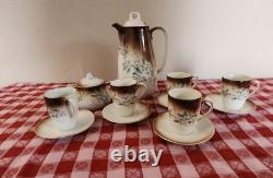 Antique P V Vessra Art Nouveau Flowers Hand Painted TEA POT SET -14 PIECES