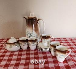 Antique P V Vessra Art Nouveau Flowers Hand Painted TEA POT SET -14 PIECES