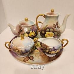 Bavarian Hand Painted Coffee/Teapot Service With Sugar Creamer Platter Rare HTF