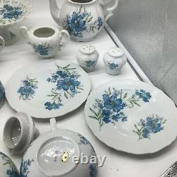 Blue Aster China Flower Tea Set Pot Salt Pepper Sugar Creamer Cups 14 pc. Inarco