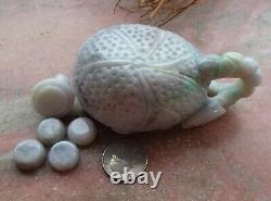 Certified Green Burma A Jade jadeite Display Lotus Flower Tea Pot Cup 526433 AS