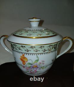 Chastagner & Co Limoges France Tea Set For 8 Pot Creamer Sugar Cup Saucers Plate