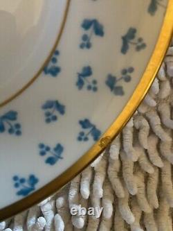 Christian Dior Fine China Retired Les Petites Fleurs Teapot WithTeacups &Saucers