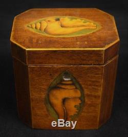 Classic 19thC Shell Marquetry Inlay Tea Caddy