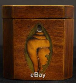 Classic 19thC Shell Marquetry Inlay Tea Caddy