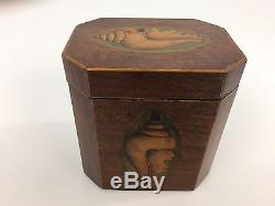 Classic 19thC Shell Marquetry Inlay Tea Caddy