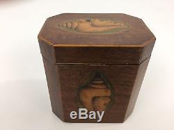 Classic 19thC Shell Marquetry Inlay Tea Caddy