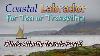 Coastal Labrador For Tea Or Tranquility Slim S Atlantic Travels Pt 5
