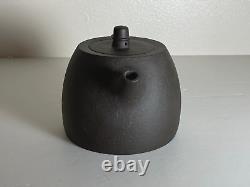 Exquisite Yixing Teapot Set Handcrafted Zisha Clay 4.5 Pot with 2 Cups