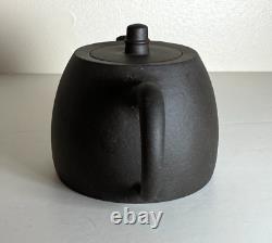 Exquisite Yixing Teapot Set Handcrafted Zisha Clay 4.5 Pot with 2 Cups
