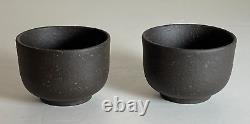 Exquisite Yixing Teapot Set Handcrafted Zisha Clay 4.5 Pot with 2 Cups