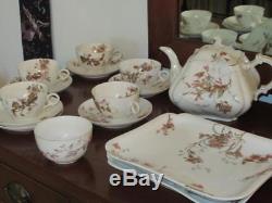 Haviland & Co Limoges France 50 Piece China Dish Set Flower & Ivy with Teapot