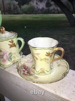 Haviland France Teapot Set Magnolia With Sugar Bowl and Cups And Plates
