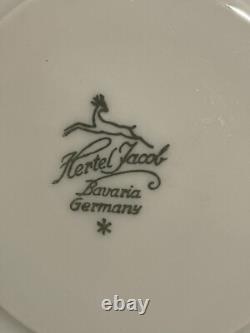 Hertel Jacob Set of 6 Cups/Saucers + Tea Pot / Creamer GERMANY