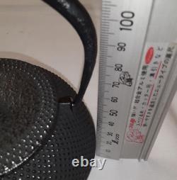 IWACHU Nanbu Tekki Tea Pot Kettle ashtray 5 saucers pot stand set cast Iron NEW