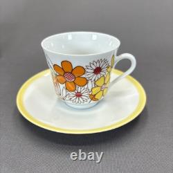 Jahre Bareuther Waldsassen Tea Pot Set Demitasse Cups 15 Pieces Orange Flower