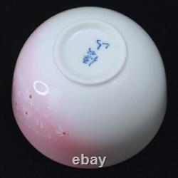 Japanese Tea Utensil Set Cherry Blossom Tea Pot & Cups & Plates Serves 5 Pink