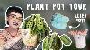 My Entire Plant Pot Collection Houseplant Styling Whimsical Plant Pots
