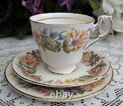 Paragon'COUNTRY LANE 24 piece (6 place Set) Tea Set (incl. Teapot) V. G. Cond