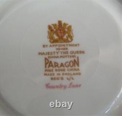 Paragon'COUNTRY LANE 24 piece (6 place Set) Tea Set (incl. Teapot) V. G. Cond