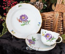 Purple Aster Meissen Deutsche Blumen Dessert Set for One Porcelain Dishes