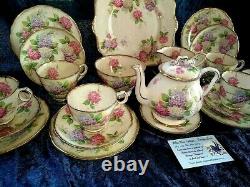 RARE'Royal Stafford''Carousel' Pastel Hydrangea Tea Set 24 Piece & Teapot