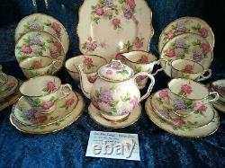 RARE'Royal Stafford''Carousel' Pastel Hydrangea Tea Set 24 Piece & Teapot