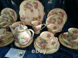 RARE'Royal Stafford''Carousel' Pastel Hydrangea Tea Set 24 Piece & Teapot