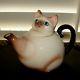 Rare Vintage Norcrest Siamese Kitty Cat Teapot Or Coffee Pot Mint Condition
