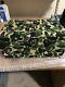 Rare Sold Out Bape A Bathing Ape Limited Chinese Tea Pot With Green Camo Box Set