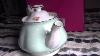Royal Albert Polka Rose Fine Bone China Tea Party Teapot Close Look
