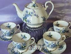 Royal Albert Teapot with Cups Saucers Blue Floral Forget Me Not Bone China Tea Set