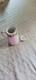 Royal Dulton Miramont Hand Painted Tea Pot And Creamer