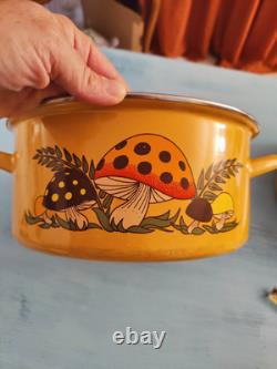 Sears Merry Mushroom Set 10 Pieces Enamelware Coffee Pitcher Tea Kittle Pot Pans