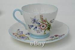 Shelley Art Deco 29pc tea-for-6 set with teapot gorgeous Wild Flowers+blue trim