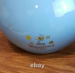 Snoopy Woodstock Everwin Ceramic Tea Set In Box Peanut Tea pot Cups UFS Blue