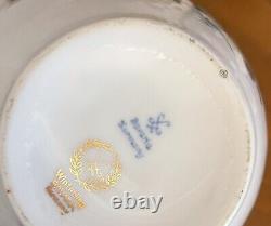 Stunning Winterling Bavaria Germany Floral Tea Pot Set Vintage