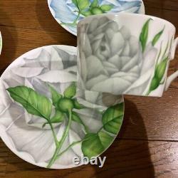 Taitu Rose & Rose Tea Pot Tea Cup Saucer 3 Set EMILIO BERGAMIN