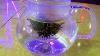 Tea Beyond Pink Butterfly Teapot Gift Set 4 Flowering Tea Blooms Review