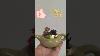 Tea Homedecor Coffee Copper Diy Handmade Beautiful Craft Pumppod Teatime