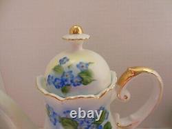 Tea Pot Forget Me Not hand painted, Pitcher, Sugar & Cream Set 6 Pc