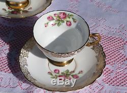 Teapot, PINK ROSES teacups saucers plates, Rosina trios Vintage English Tea Set