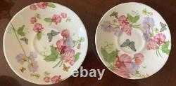 Teapot Set Flower Sweet Pea Butterfly Creamer England Rob Turner Cup Saucer Suga